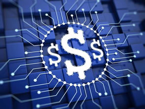 楊望 以數(shù)字貨幣破題普惠金融，數(shù)字技術(shù)服務(wù)實體經(jīng)濟(jì)新路徑